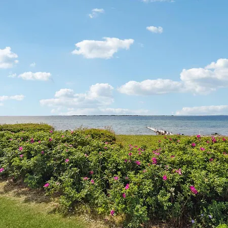 4 Bedroom Cozy In אסנס