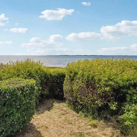 4 Bedroom Cozy In * אסנס